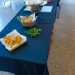 WhatsApp Image 2026-02-10 at 15.57.132 WhatsApp Image 2026-02-10 at 15.57.132